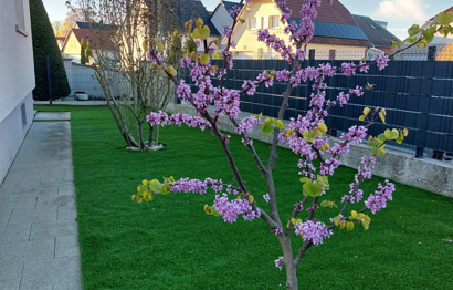 services-petis-amenagements-img-2